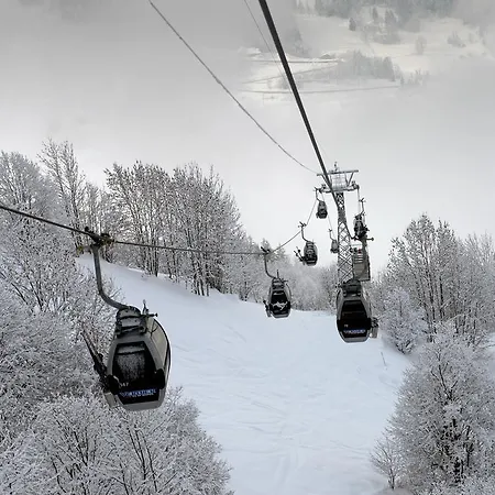 Studio Grands Ducs 222 *